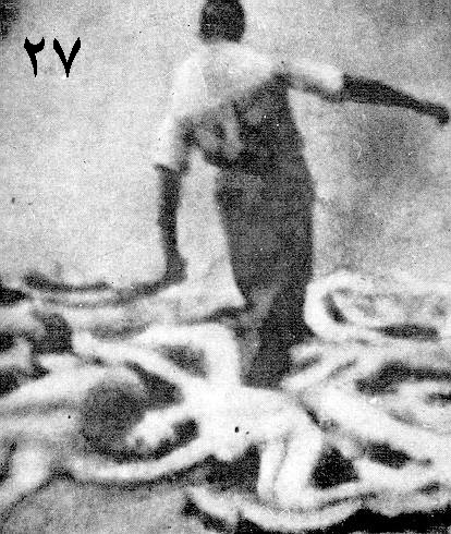 انکار هولوکاست: عکس شماره ٢6و٢7 انکار هولوکاست: عکس شماره ٢6و٢7