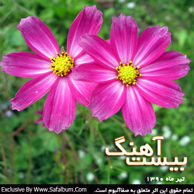 http://s1.picofile.com/file/7101856234/Tir1390.jpg