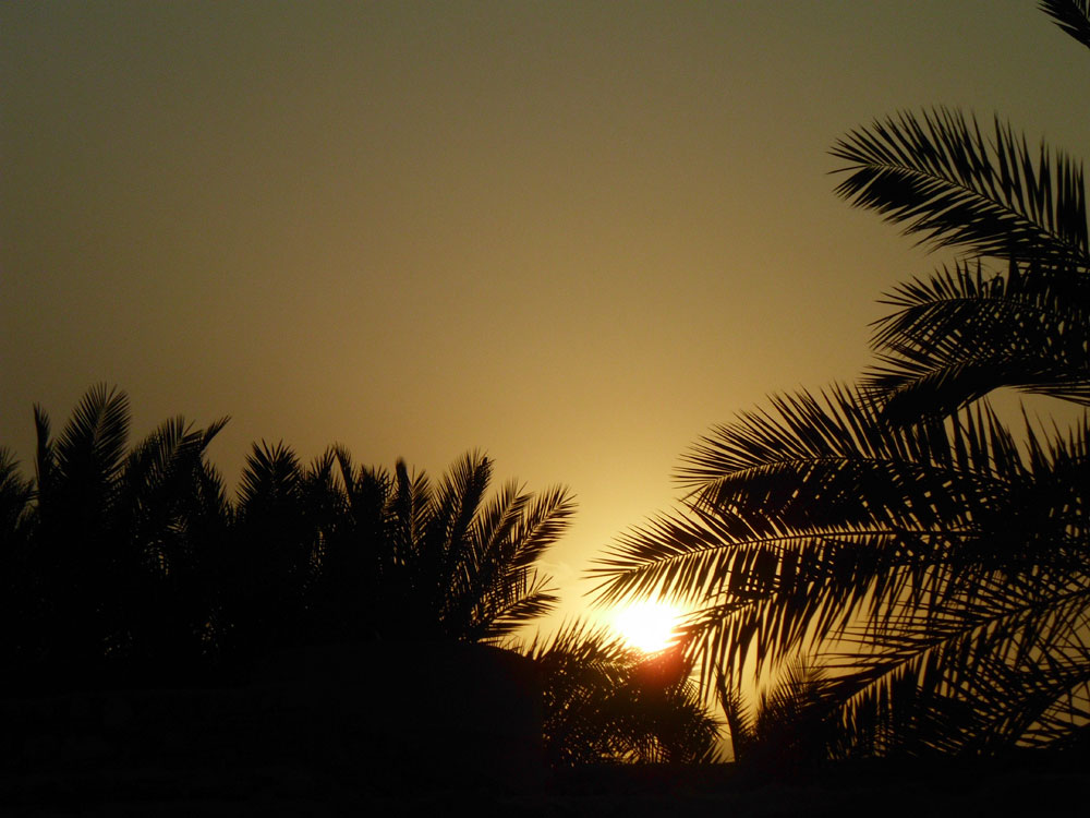 غروب رویدر