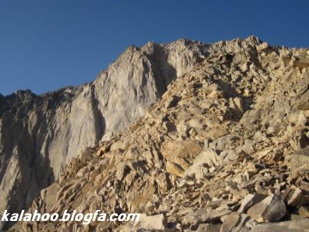 گرده آلمانها