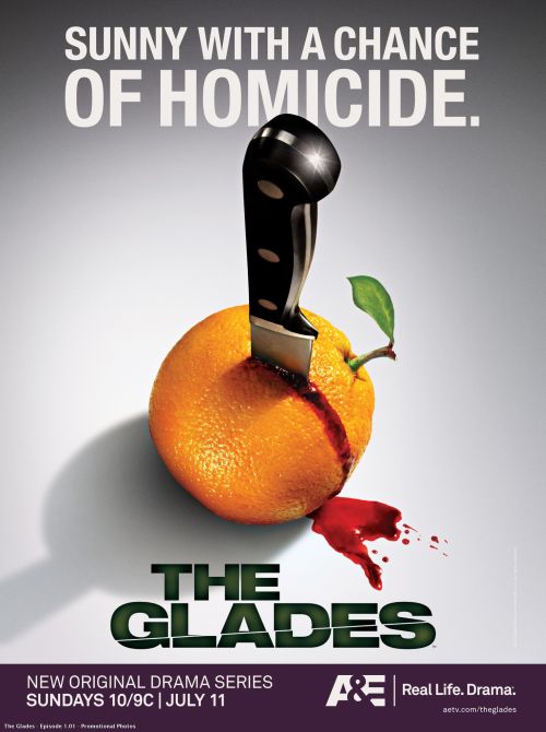 The Glades The Glades دانلود سریال The Glades