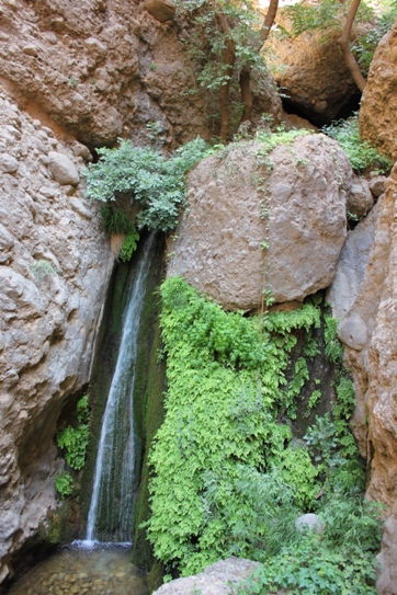آبشاری در دره محل اطراق