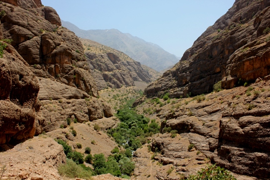 ابتدای نیگاه