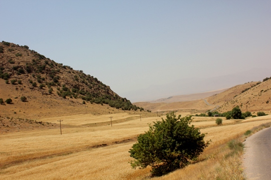 مسیز زیبای برگشت