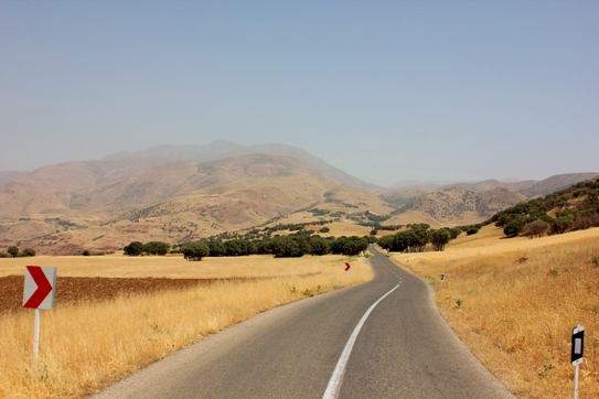 زیبایی های مسیر برگشت