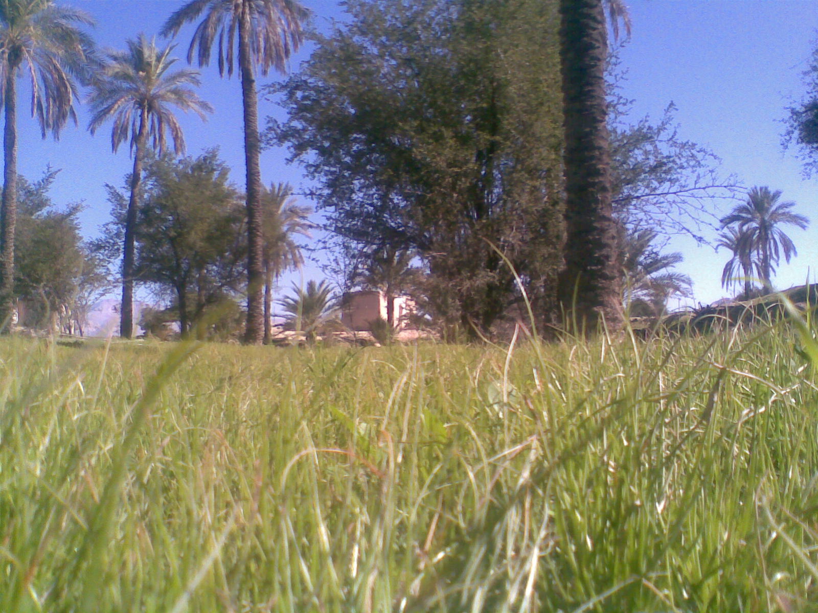 http://s1.picofile.com/file/7193124622/%D8%AA%D8%B5%D9%88%DB%8C%D8%B1070.jpg