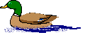 _*̡͌l̡*̡̡ ̴̡ı̴̴̡ ̡̡͡|̲̲̲͡͡͡ ̲▫̲͡ ̲̲̲͡͡π̲̲͡͡ ̲̲͡▫̲̲͡͡ ̲|̡̡̡ ̡ ̴̡ı̴̡̡ *̡͌l̡*̡̡_سلام عزیزان خیلی خوش آمدید تصاویرمتحرک شباهنگ www.shabahang20.blogfa.com _*̡͌l̡*̡̡ ̴̡ı̴̴̡ ̡̡͡|̲̲̲͡͡͡ ̲▫̲͡ ̲̲̲͡͡π̲̲͡͡ ̲̲͡▫̲̲͡͡ ̲|̡̡̡ ̡ ̴̡ı̴̡̡ *̡͌l̡*̡̡_