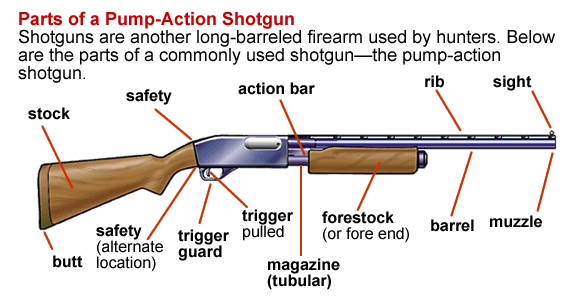 [تصویر: gun_parts_shotgun.gif]