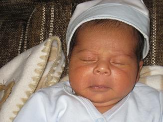 نی نی