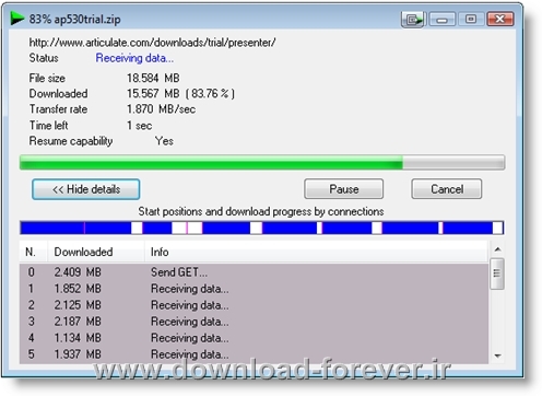 internet download manger