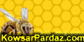 آموزش ویدئویی پرورش زنبور عسل به زبان فارسی شرکت کوثرپرداز   www.kowsarpardaz.com