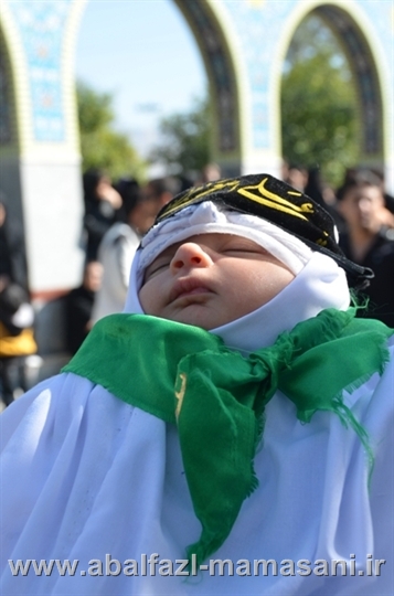 یکی دیگراز جدیدترین اعضا هیئت