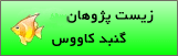 لوگو