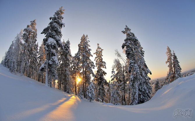 طبیعت زیبای زمستانی(عکس)