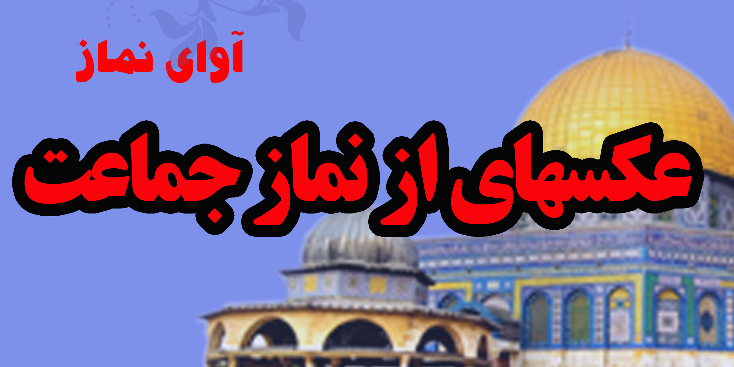 عکسهای برگزاری نماز جماعت -گالری عکس 