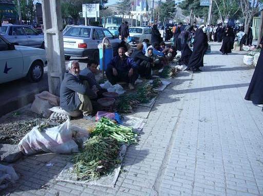 فروشندگان گياهان و سبزيهاي صحرايي در اسلام آباد غرب