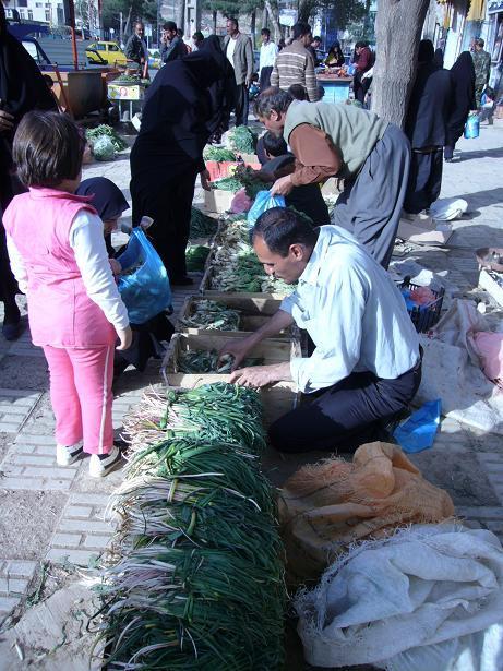 فروشندگان گياهان و سبزيهاي صحرايي در اسلام آباد غرب