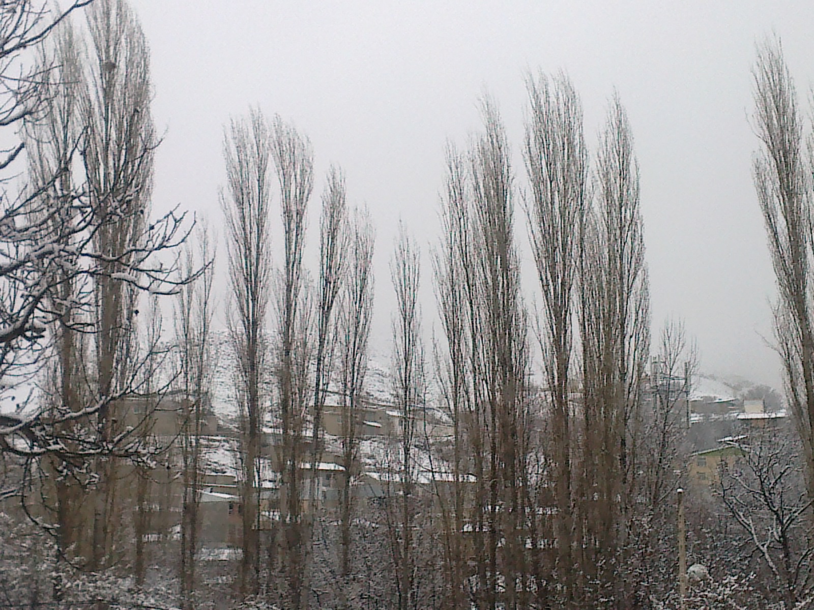 13 دی ماه 1390  روستای شـــــــال