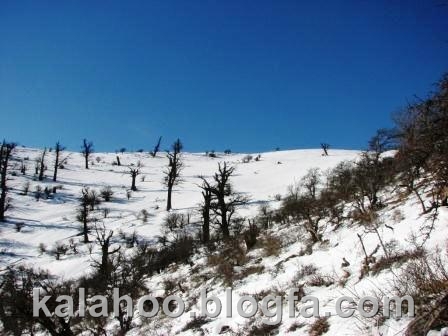 همایش سراسری کوهنوردان استان مازندران