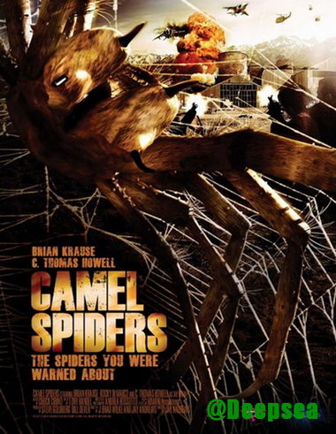 دانلود فیلم Camel Spiders 2011