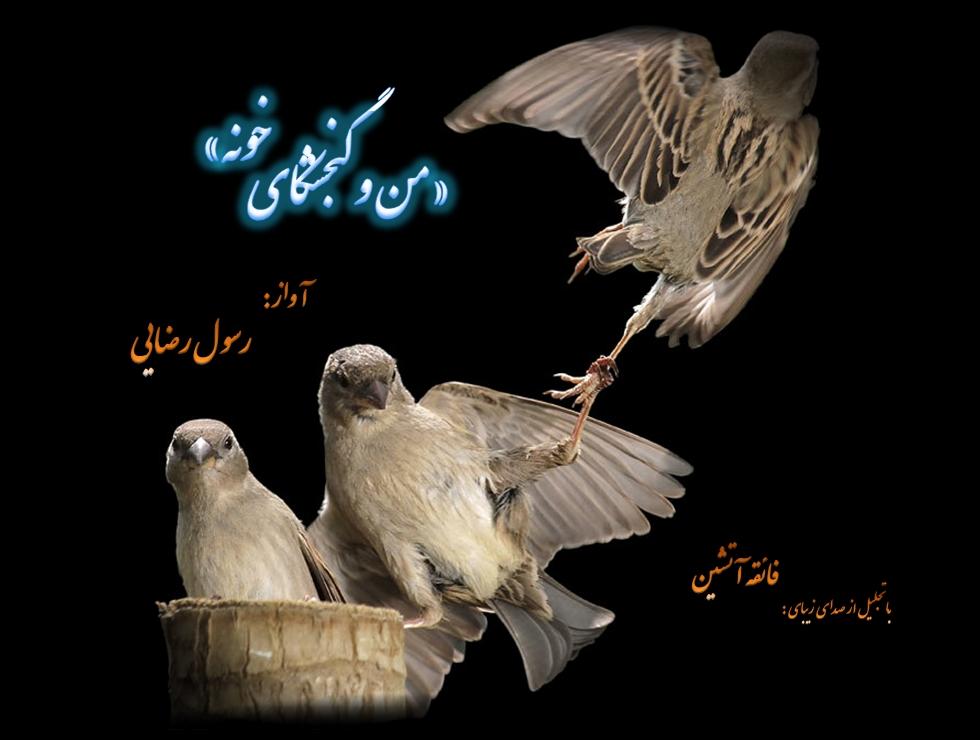 من و گنجشکای خونه با صدای رسول رضایی