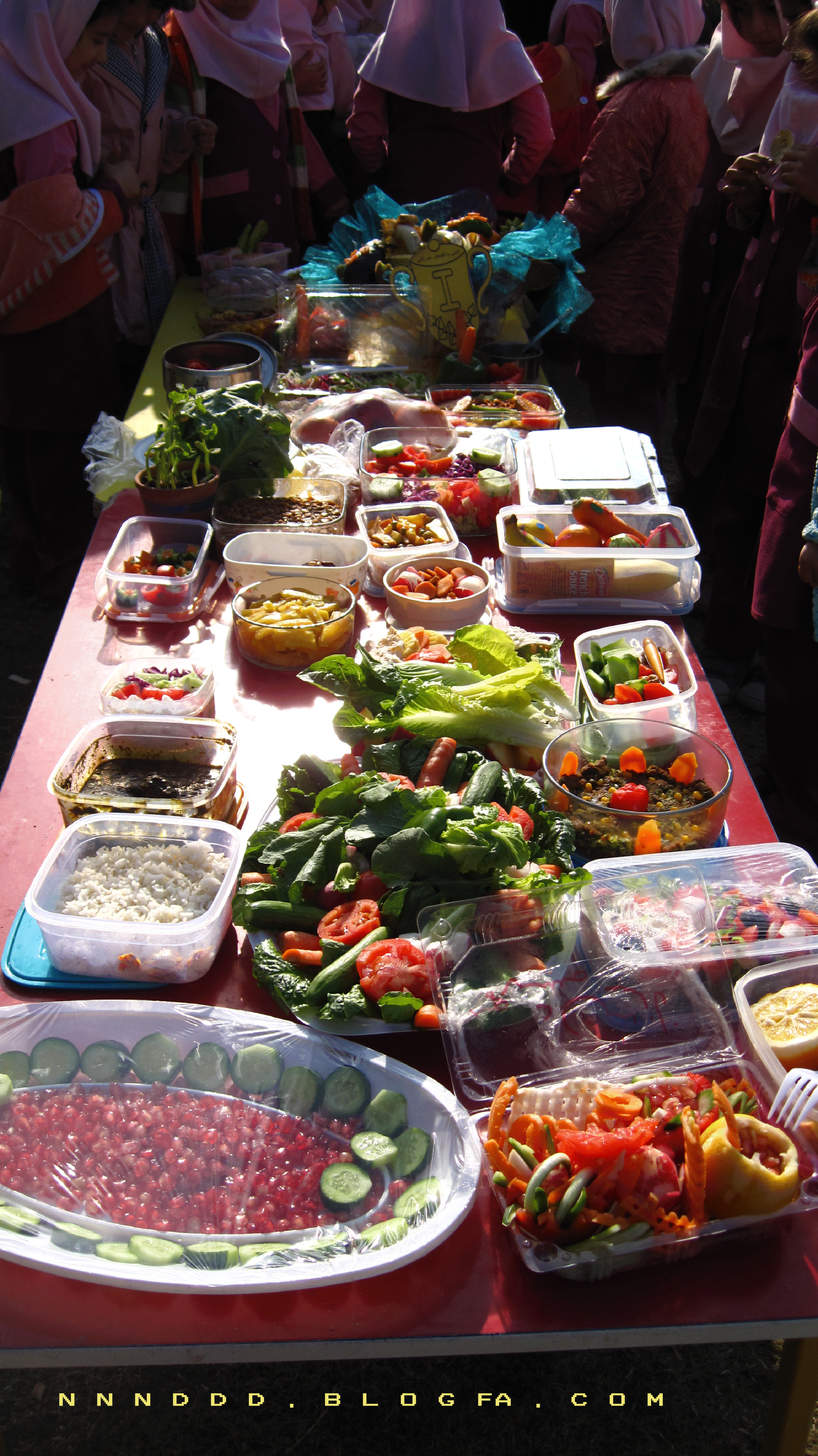 جشن آشتی با گیاهان خوراکی(کتاب جدید التالیف علوم اول دبستان