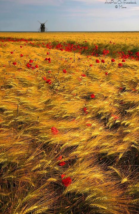معنای دوست داشتن
