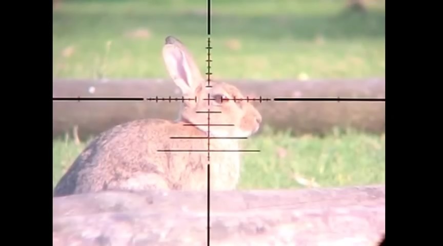 [تصویر: Slow_Motion_Airgun_Rabbit_Hunting_1018_H...ifle_1.jpg]