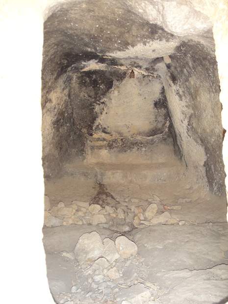 فضای داخل استودان و خفاشی که داخل آن در حال استراحت بود