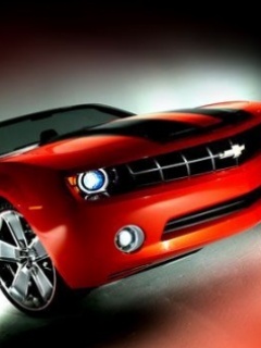 [تصویر:  SALAR_CHI_Motafarege_Car_134_.jpg]