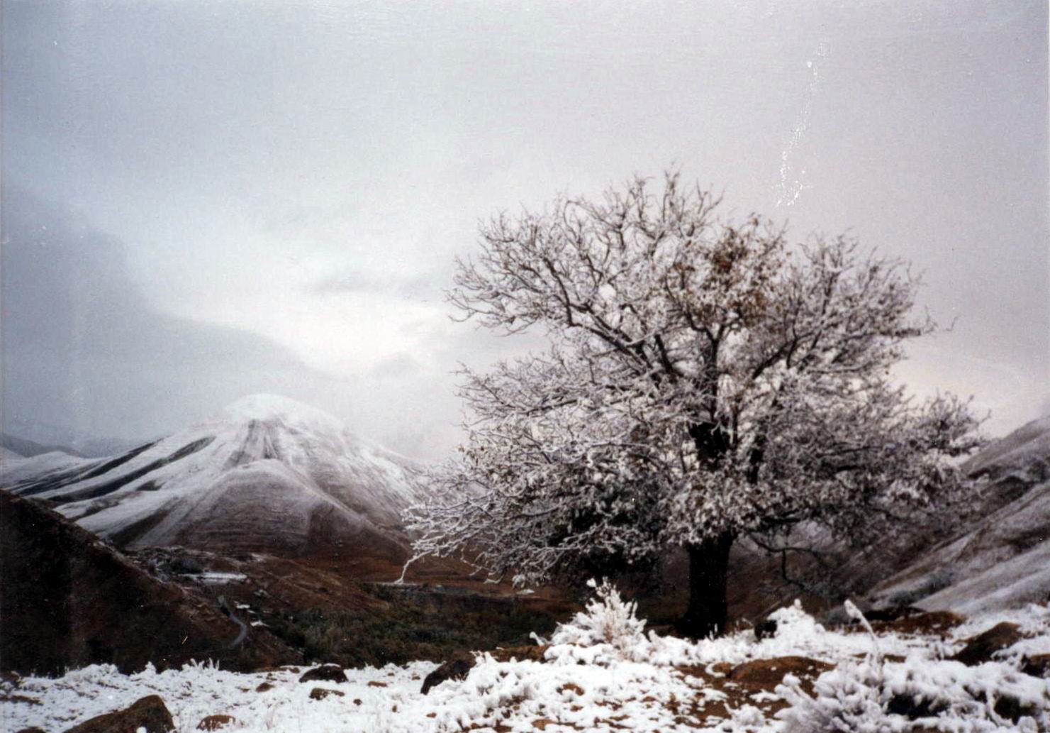 زمستان شاهرود