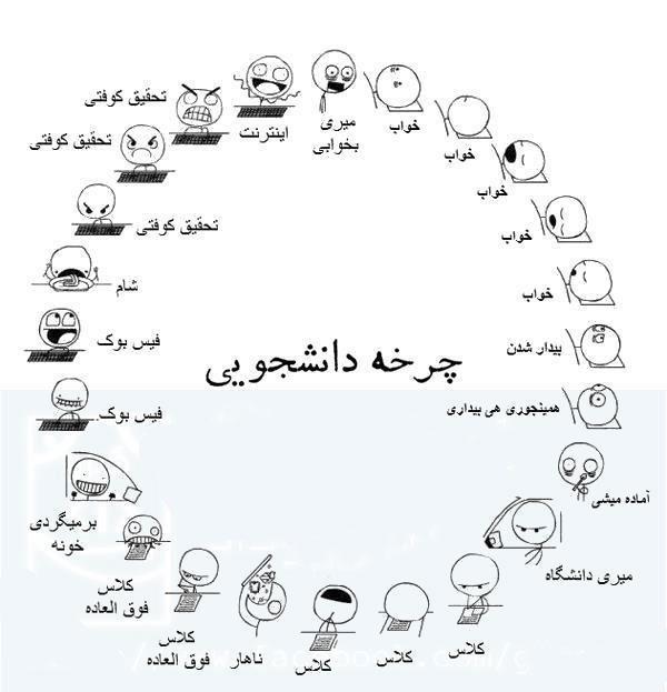 چرخه دانشجویی