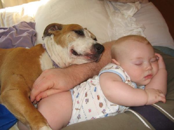 farapix_com_d2fd62901445c48111cda24bb9627eda_funny_mix_7teen42_11.jpg
