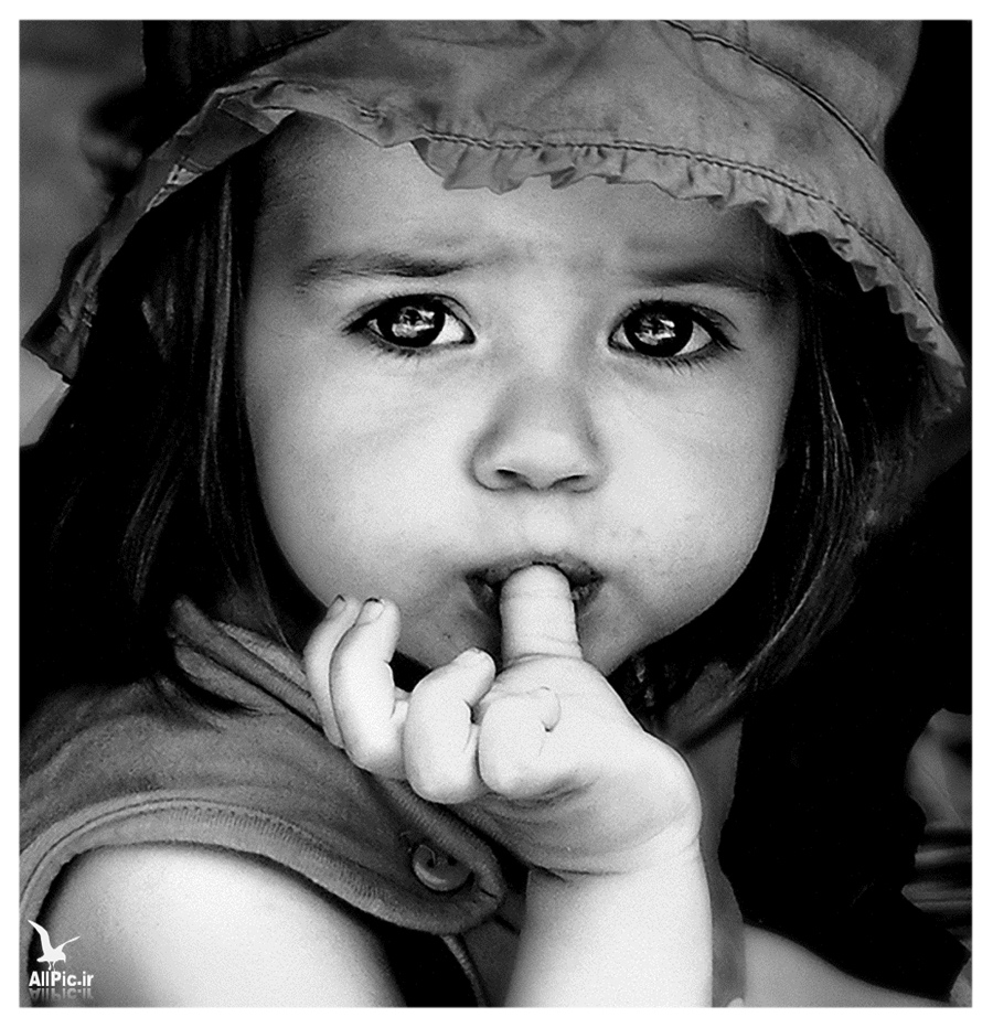 Image By FotoPic.ir