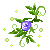 گل