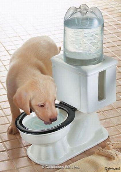 http://s1.picofile.com/file/7303705478/rA8gV.jpg