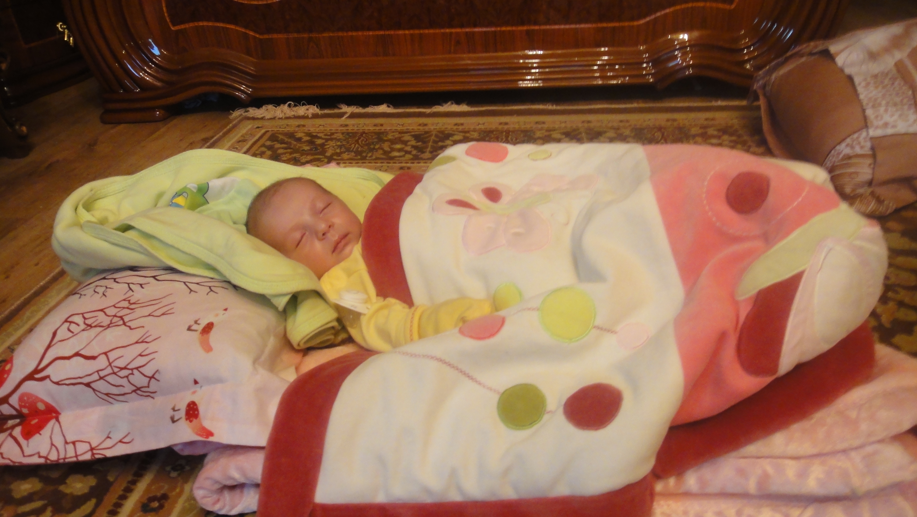 http://s1.picofile.com/file/7305043545/DSC01497.jpg