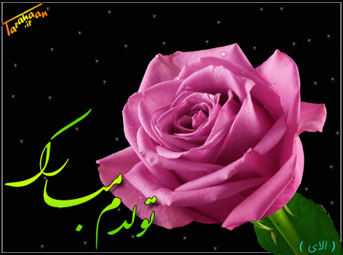 کارت پستال درخواستی طراحان