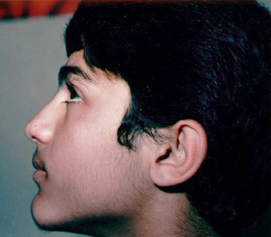 http://s1.picofile.com/file/7307210321/moj3.jpg