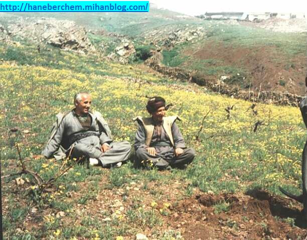 هورامان هانه به رچه م