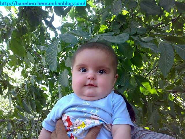 هورامان هانه به رچه م