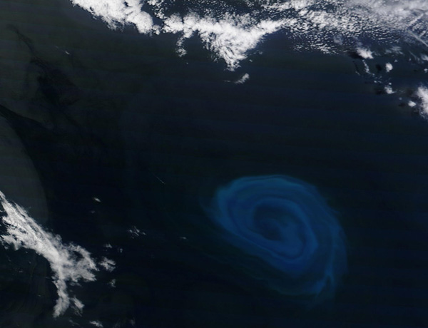 گرداب ۱۵۰ کیلومتری پلانکتون‌ها در اعماق اقیانوس + عکس