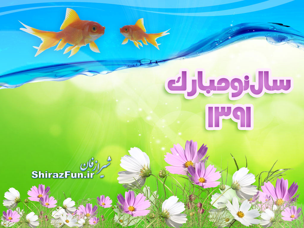 شیراز فان.آی آر