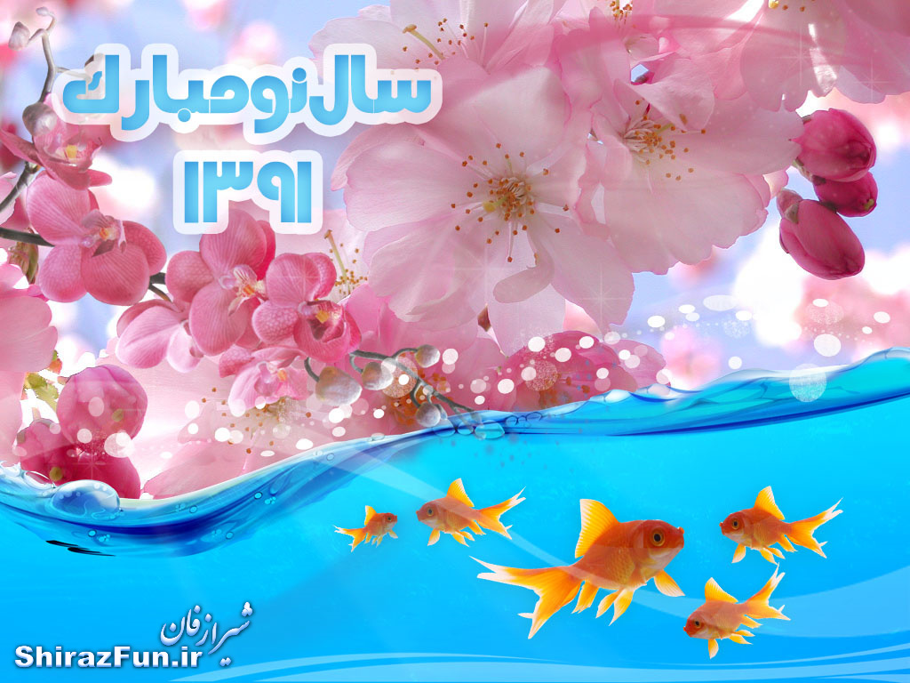 شیراز فان.آی آر