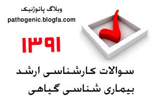 سوالات 1391