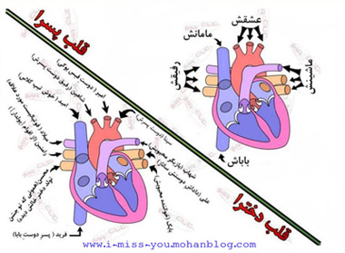 پسرونه دخترونه