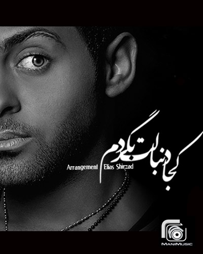 دجی مانی