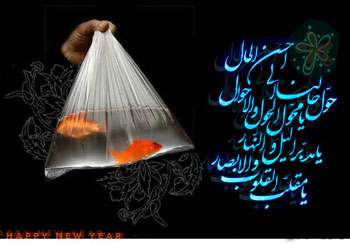 کارت پستال های نوروز 91