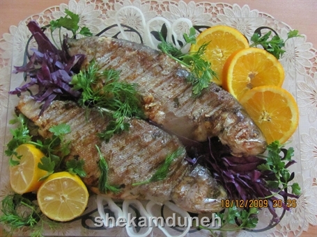 ماهی قزل آلا