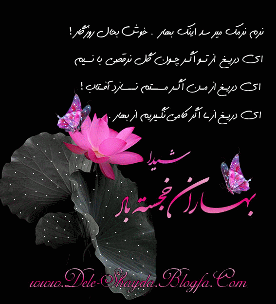 عاشقانه های دل شیدا